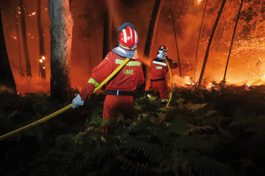 Bomberos en un incendio forestal.