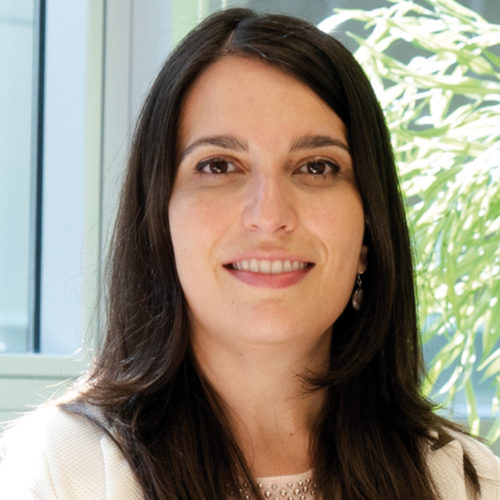 Elisabeth Pérez García, Manager en el Área de Sistemas No Tripulados de everis Aeroespacial, Defensa y Seguridad.