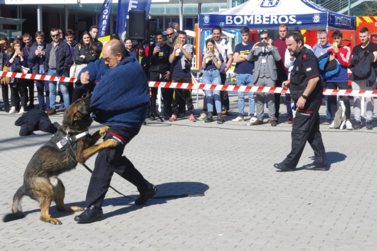 La Ertzaintza y su unidad canina mostraron cómo localizan explosivos, drogas, dinero y personas desaparecidas.