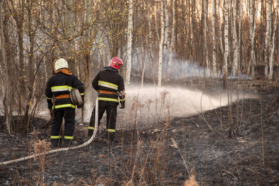 Efectivos lucha contra incendios forestales
