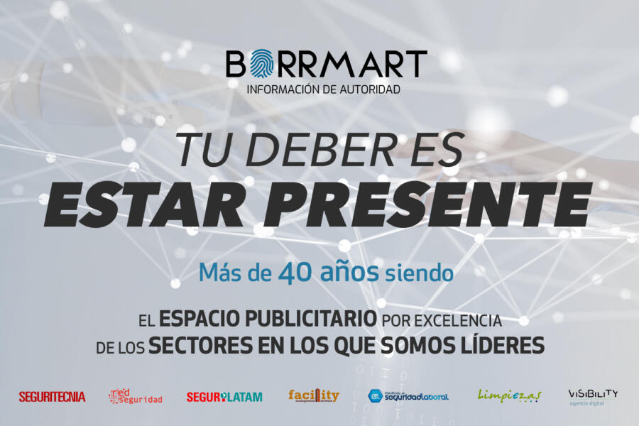 Grupo Borrmart