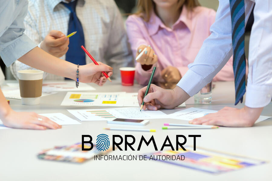 Grupo Borrmart autopromo