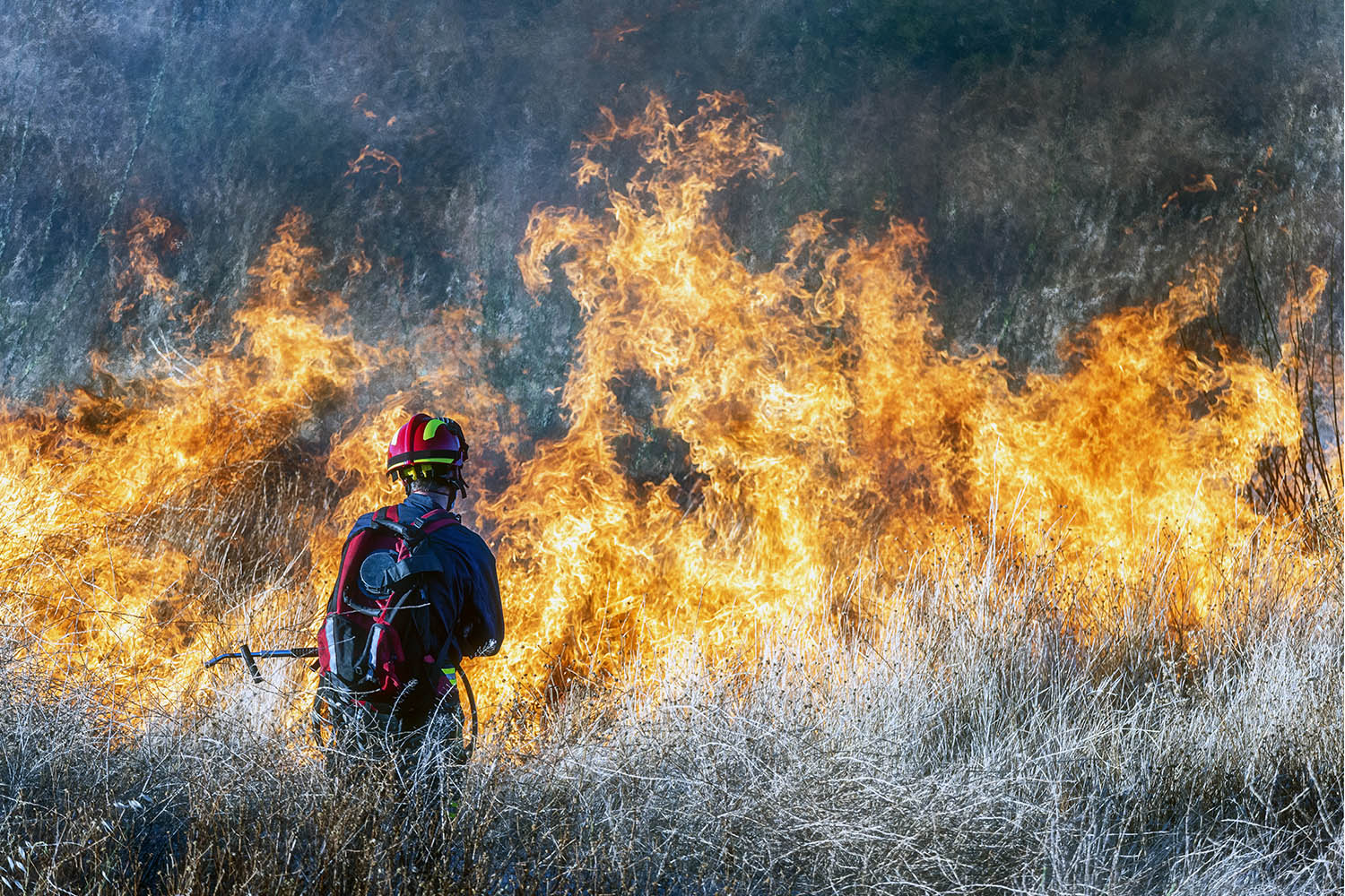 Bombero forestal extinguiendo un fuego.