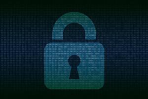 Ciberseguridad de los datos médicos.