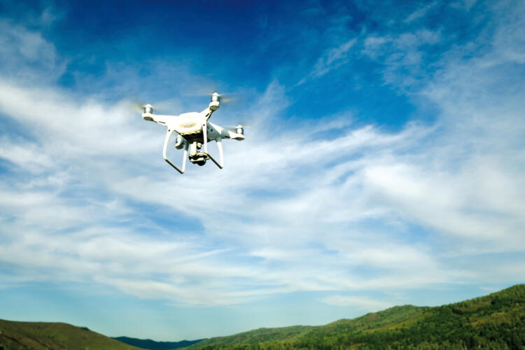 dron sobre un bosque