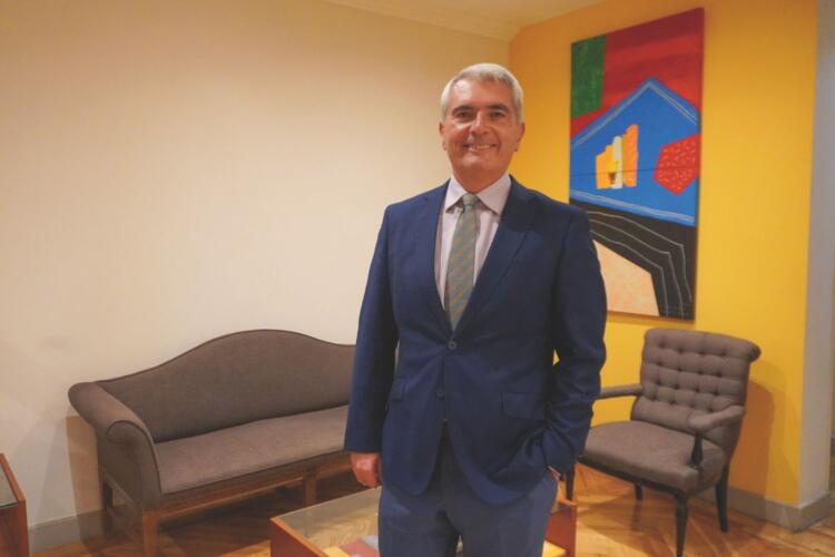Lorenzo Cotino, AEPD