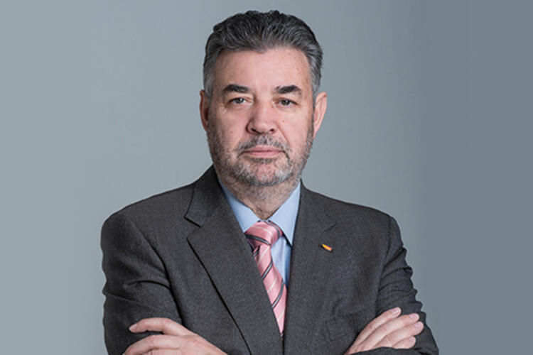 Pedro Sebastián, ESRM Consulting